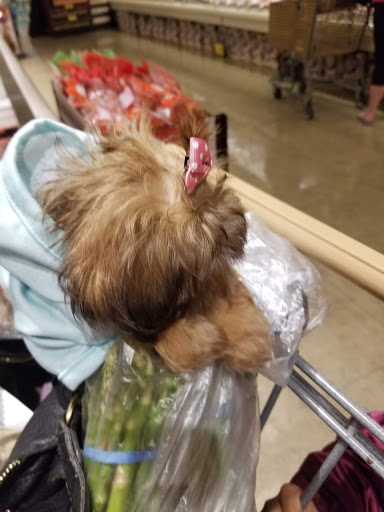 Shopping Mall «Crossings Shopping Center», reviews and photos, 3393 Deer Valley Rd, Antioch, CA 94531, USA