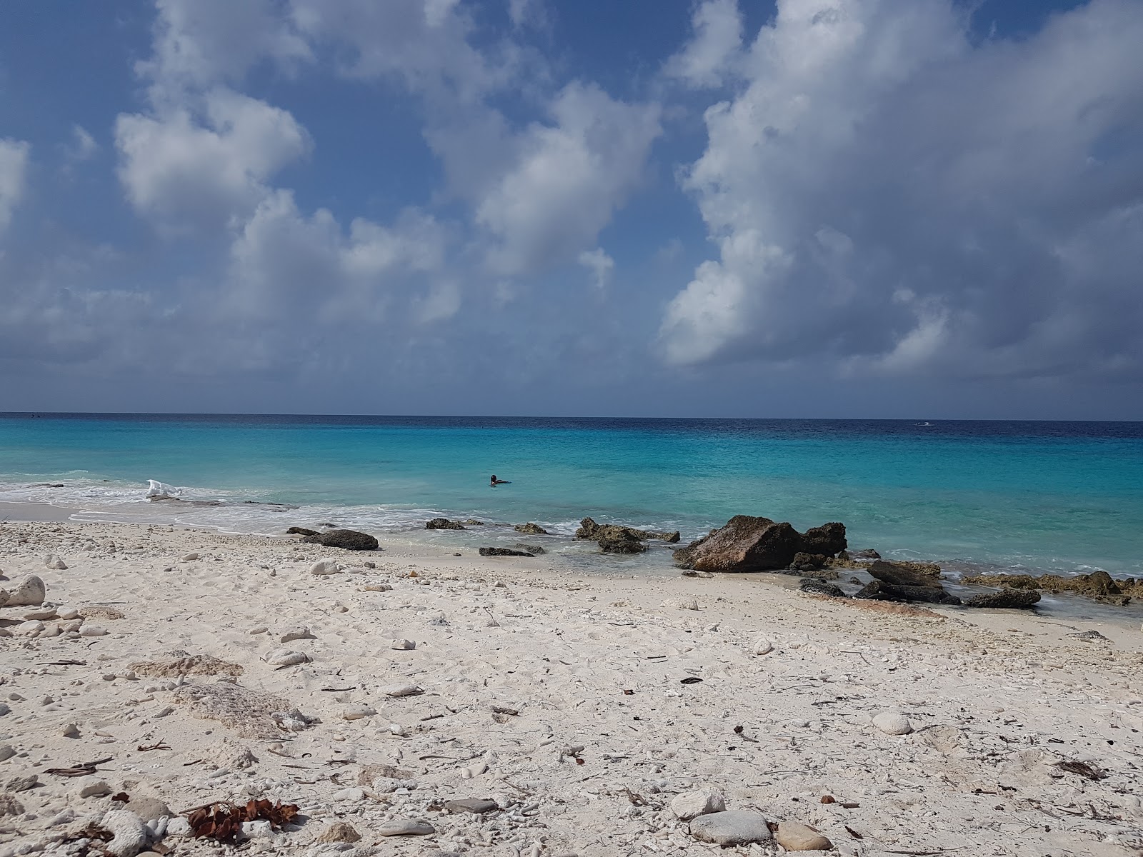 Pink Beach Bonaire的照片 具有非常干净级别的清洁度