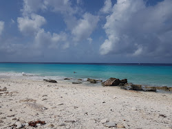 Foto von Pink Beach Bonaire wilde gegend