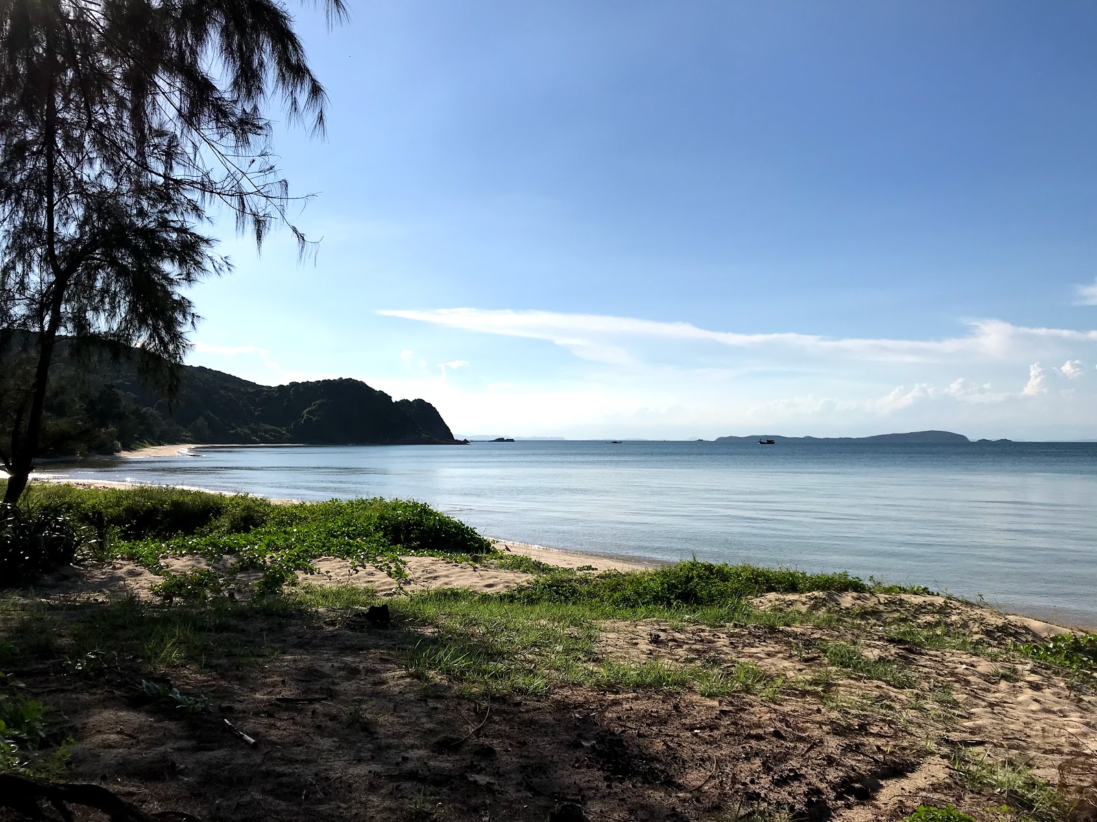 Zdjęcie Skaut Beach z poziomem czystości wysoki