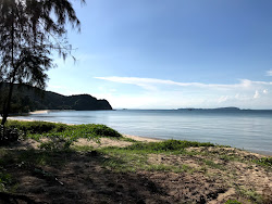 Zdjęcie Skaut Beach z poziomem czystości wysoki