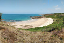 Plage du Portuais'in fotoğrafı vahşi alan