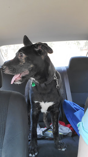 Pet Supply Store «PetSmart», reviews and photos, 860 NE Mall Blvd, Hurst, TX 76053, USA