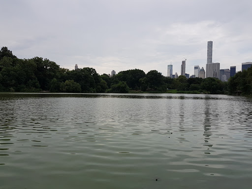 Park «Madison Square Park», reviews and photos, 11 Madison Ave, New York, NY 10010, USA