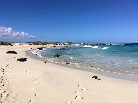 Makalawena Beach