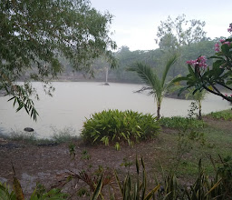 Vallarta Disc Golf Park-A Disc Golf Resorts Course photo