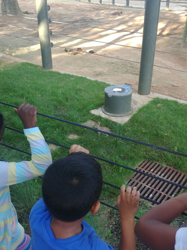 Zoo «Houston Zoo - West Gate», reviews and photos, 1467 Cambridge St, Houston, TX 77030, USA