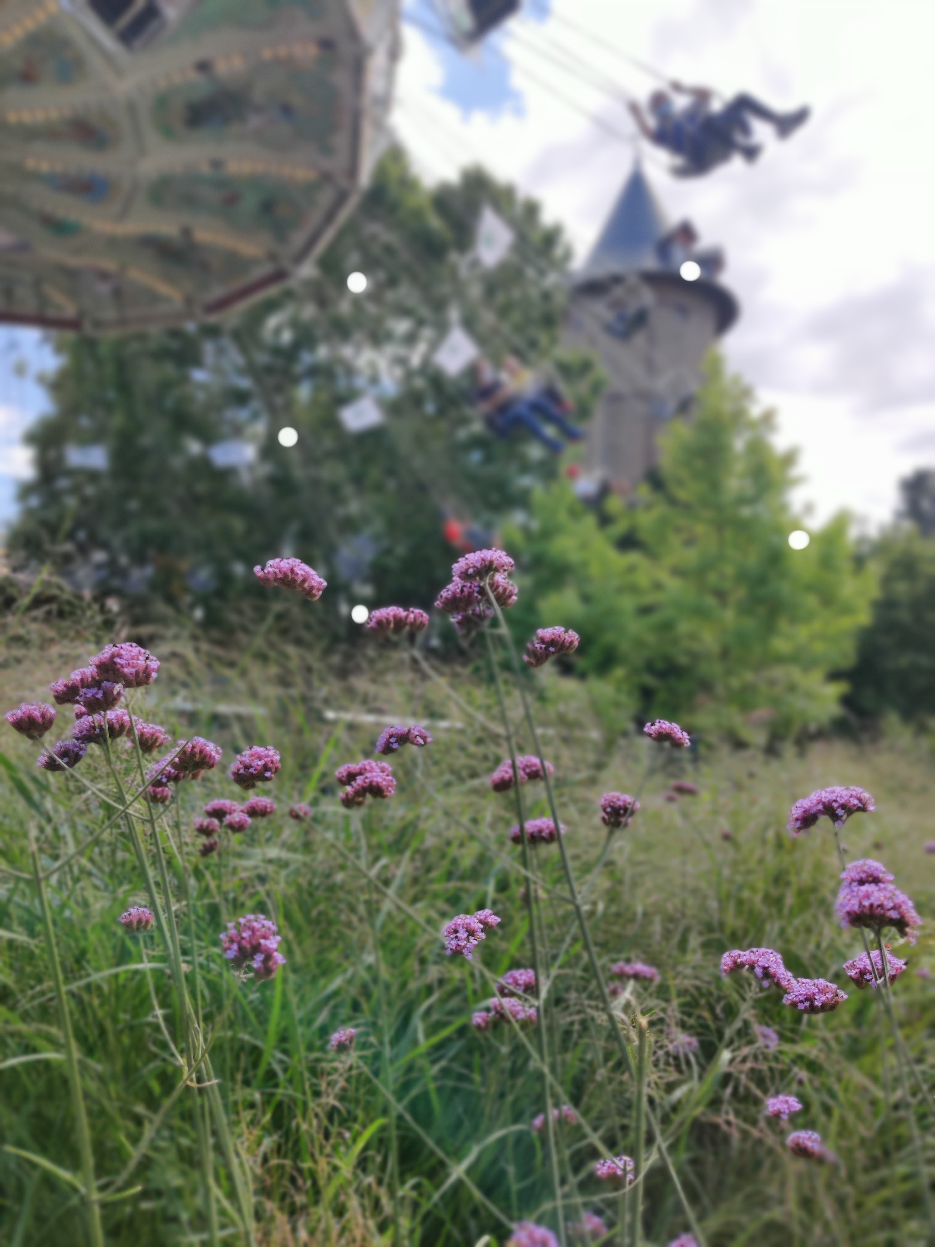 Photo n° 3 de l'avis de Jerome.a fait le 22/08/2021 à 16:47