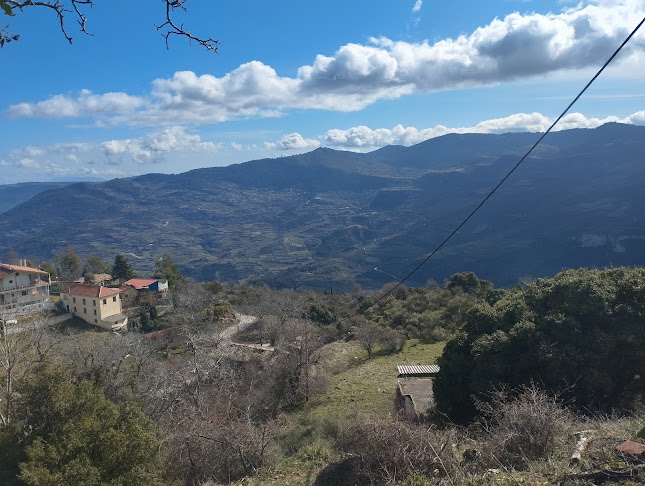 Άνω Τρίκαλα 204 00