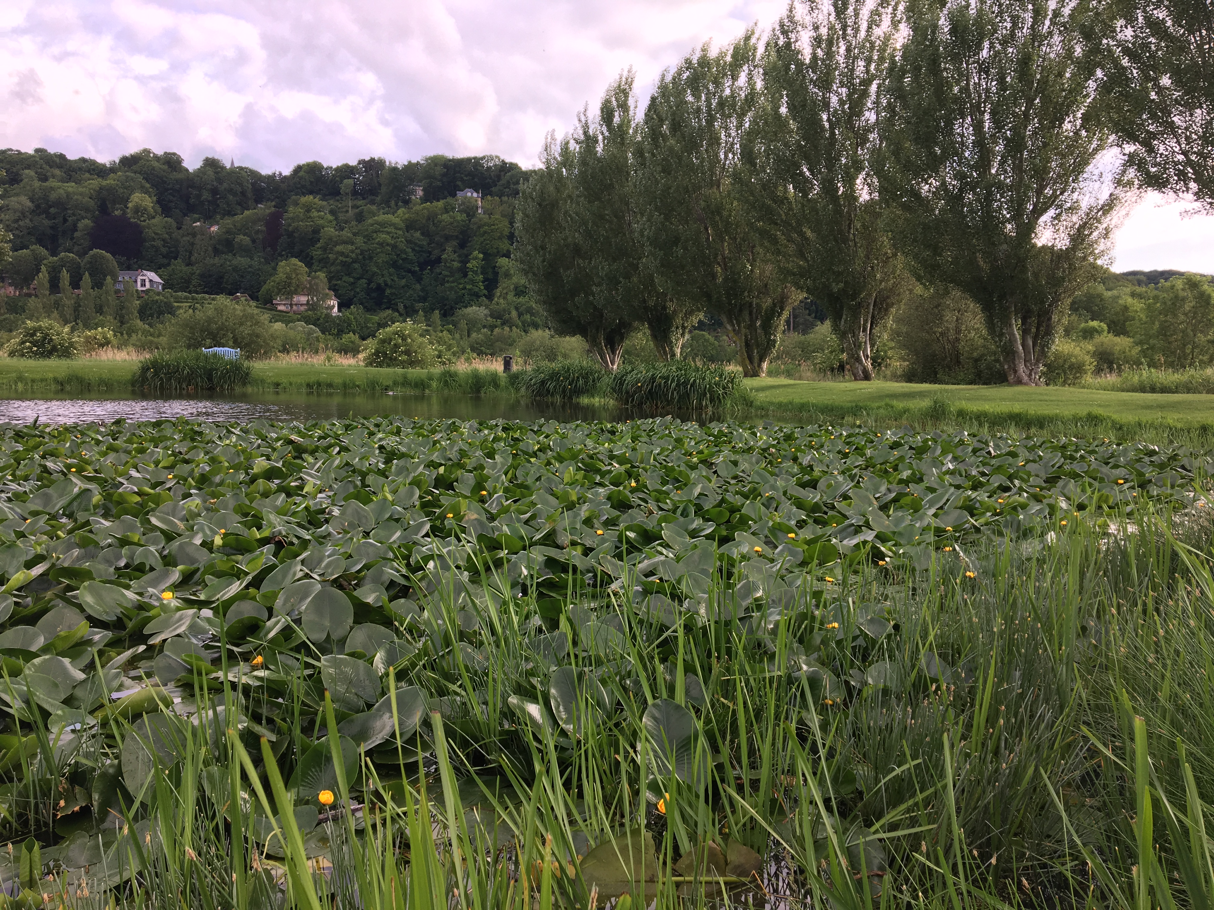 Photo n° 6 de l'avis de JB. fait le 07/06/2019 à 15:21
