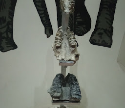 Museum of Paleontology Guadalajara photo