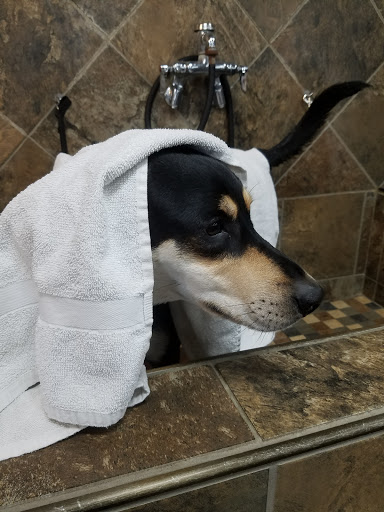 Pet Supply Store «Pet Valu», reviews and photos, 1024 Lititz Pike, Lititz, PA 17543, USA