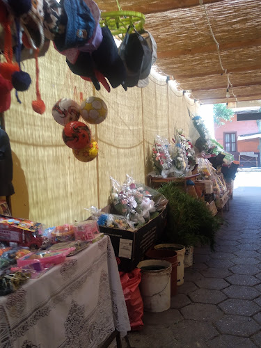 Mercado Municipal - Vallenar