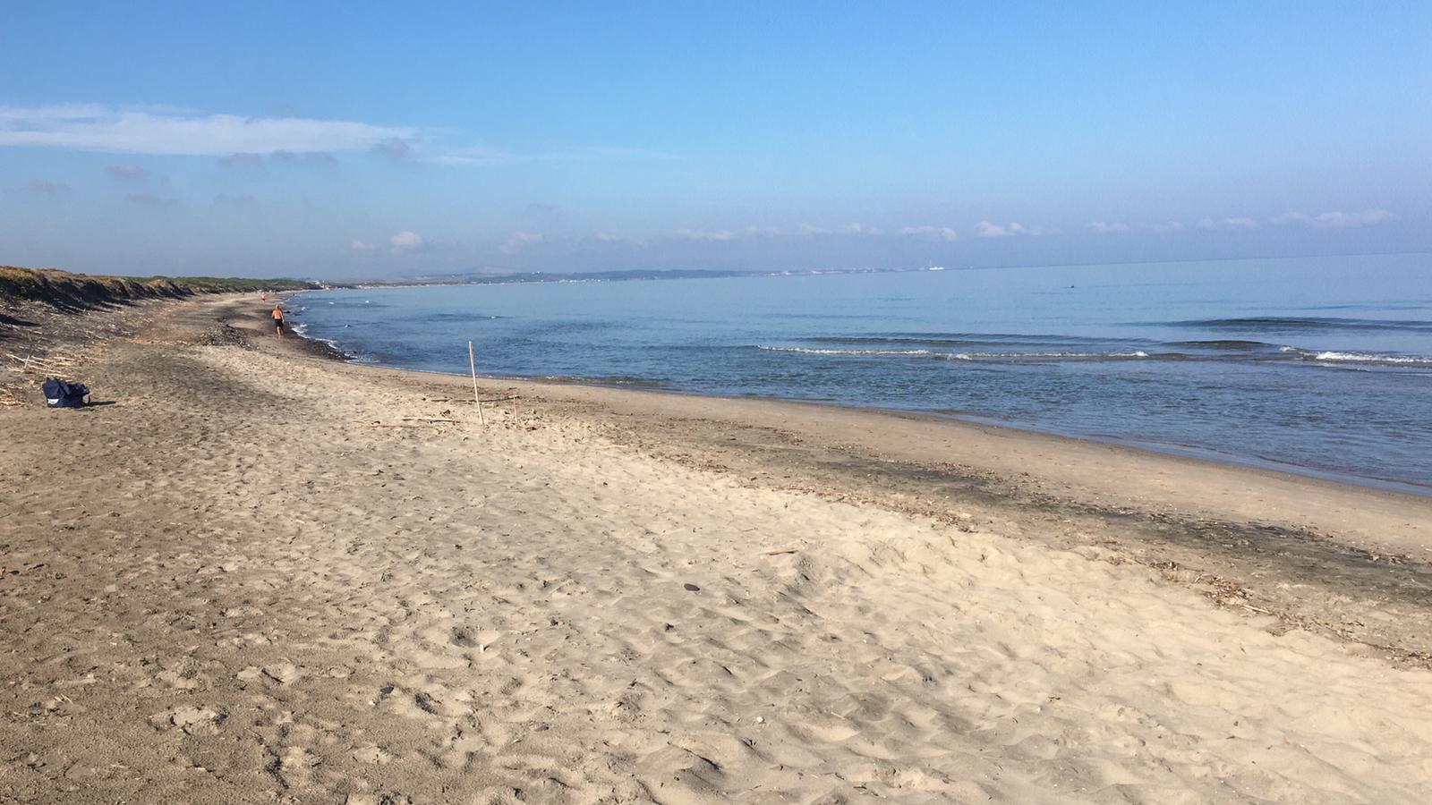 Fotografija Spiaggia Eden z visok stopnjo čistoče