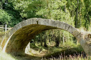 Puente de Talcano image