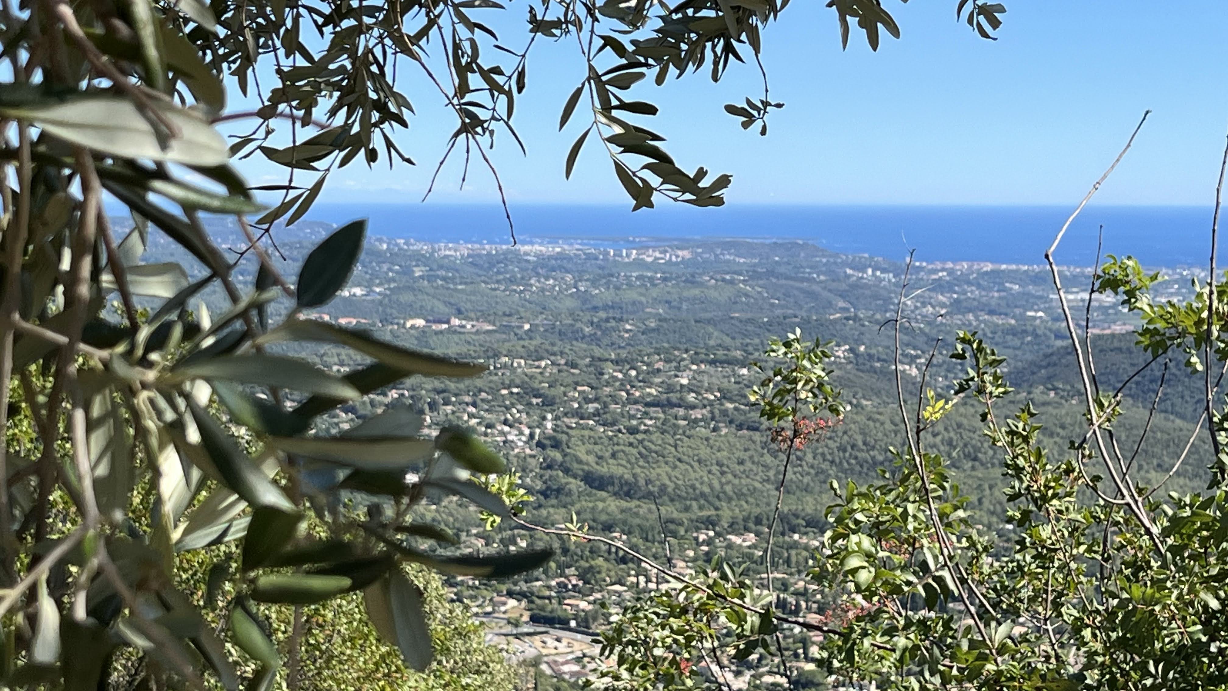 Photo n° 4 de l'avis de Ron06. fait le 12/08/2023 à 14:16