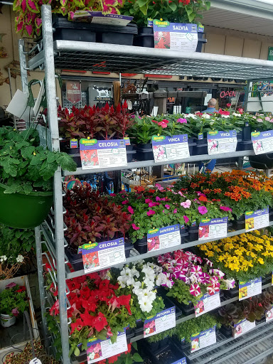 Hardware Store «Innerarity Ace Hardware», reviews and photos, 13650 Innerarity Point Rd, Pensacola, FL 32507, USA