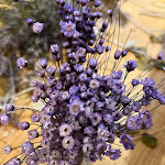 Photo n° 1 de l'avis de Valentine.l fait le 22/04/2023 à 13:06 pour Art & Play Studio à Mouvaux