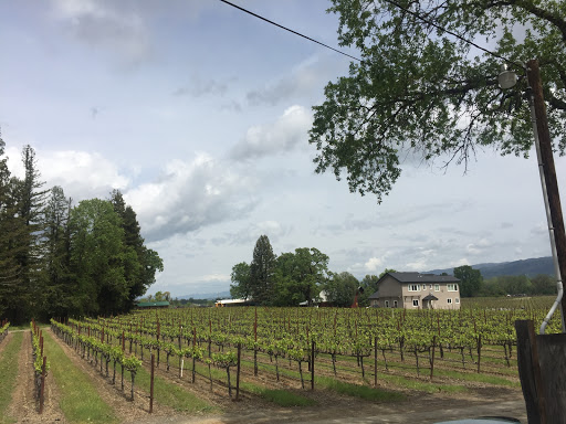 Winery «RIVINO Winery», reviews and photos, 4101 Cox Schrader Rd, Ukiah, CA 95482, USA