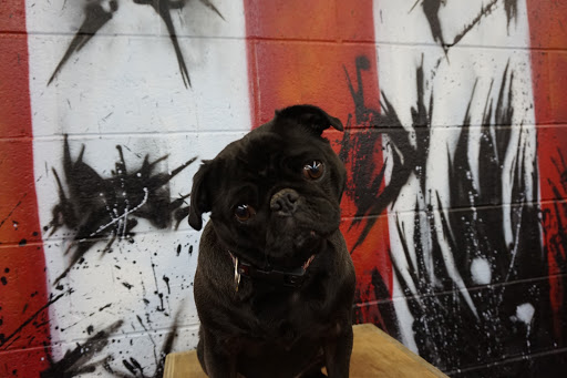 Gym «CrossFit Bethany», reviews and photos, 28 Munson Rd, Bethany, CT 06524, USA