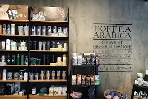 Starbucks Paragon Semarang image