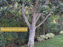 AMAZING VIEW SERVICES - Photo 4 - Car repair in , Costa Mesa