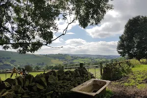 Chinley Local Nature Reserve image