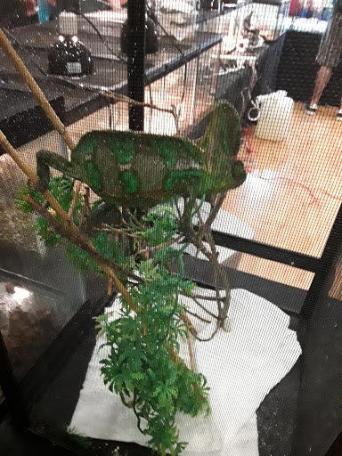 Community Center «Port St. Lucie Community Center», reviews and photos, 2195 SE Airoso Blvd, Port St Lucie, FL 34984, USA