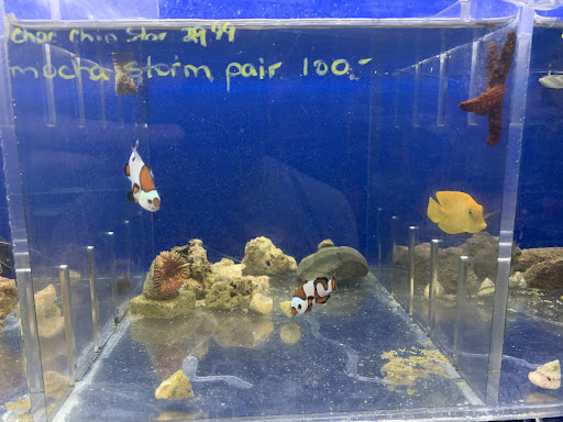 Pet Store «Brooklyn Zoo & Aquarium Pet Store», reviews and photos, 2377 Ralph Ave, Brooklyn, NY 11234, USA