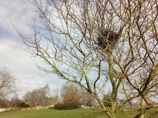 Youth Organization «Bremerton Family YMCA», reviews and photos, 2261 Homer Jones Dr, Bremerton, WA 98310, USA