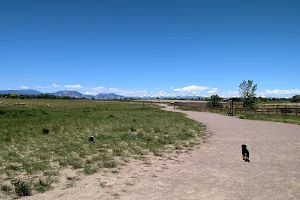 The Great Bark Dog Park image