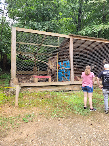 Zoo «North Georgia Zoo & Farm», reviews and photos, 2912 Paradise Valley Rd, Cleveland, GA 30528, USA