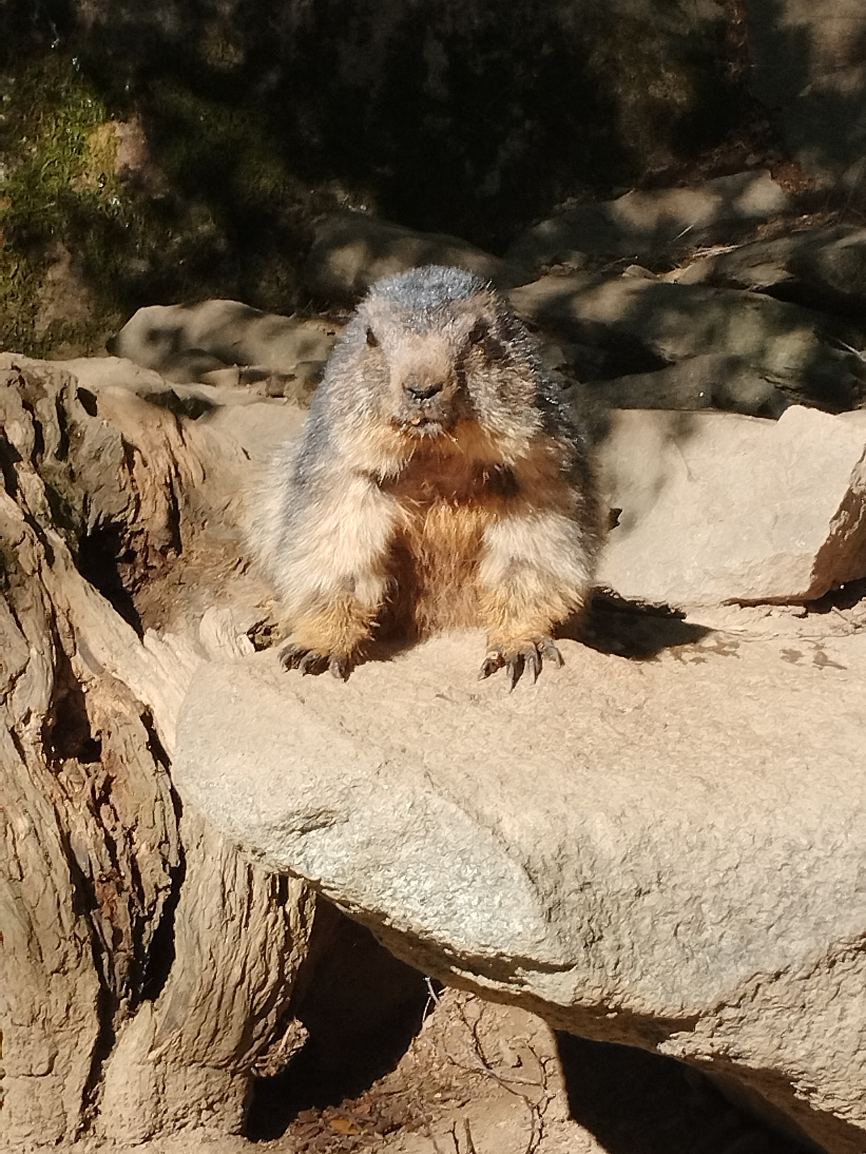 Photo n° 4 de l'avis de Cédric.� fait le 10/08/2023 à 10:03