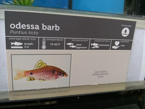 Pet Supply Store «Petco Animal Supplies», reviews and photos, 41 Narrows Shopping Center, Edwardsville, PA 18704, USA