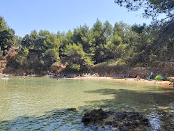Plaza Grebisce'in fotoğrafı ve yerleşim