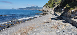 Foto von Andreina Nudist Beach befindet sich in natürlicher umgebung