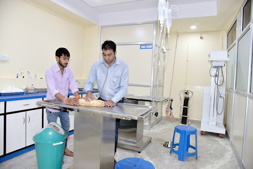 जयपुर पालतू पशु अस्पताल