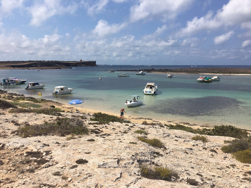 Sitios para conseguir licencia navegacion en Ibiza