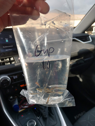 Pet Supply Store «Premier Pet Supply», reviews and photos, 31215 Southfield Rd, Beverly Hills, MI 48025, USA