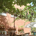 Photo n°2 de l'avis de themartraveller. fait le 05/08/2020 à 14:21 sur le  Trattoria Rendez vous à Pienza