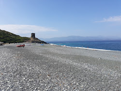 Photo de D'Albo beach et le règlement