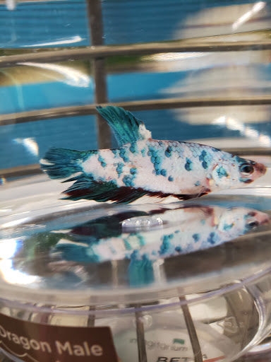 Pet Supply Store «Petco Animal Supplies», reviews and photos, 525 S 5th St, Bismarck, ND 58504, USA