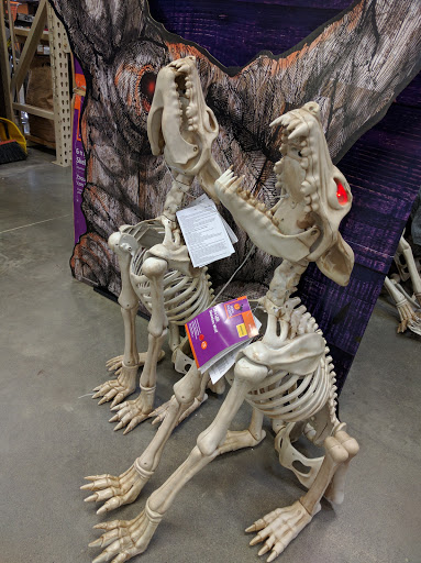 Home Improvement Store «The Home Depot», reviews and photos, 2500 Cambridge Rd, Schenectady, NY 12304, USA