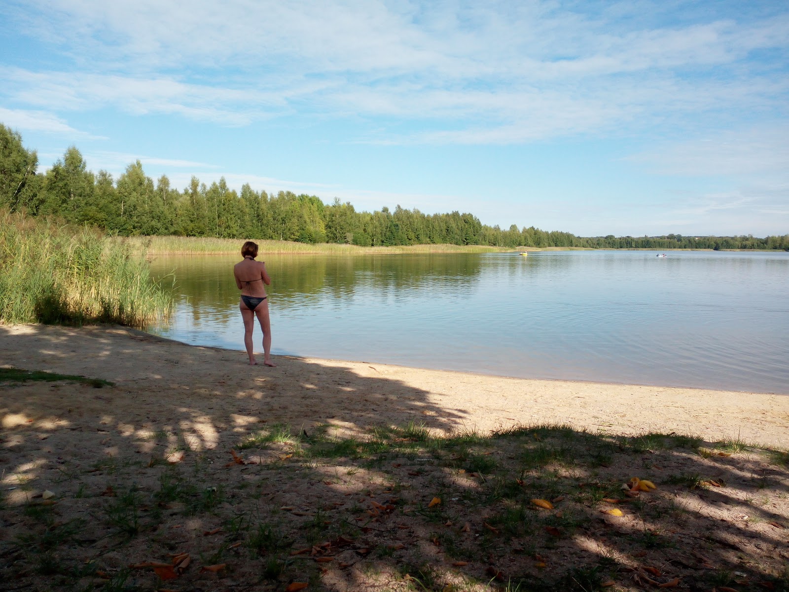 Φωτογραφία του Harthsee Beach με ευθεία ακτή