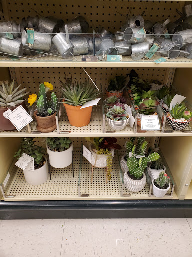 Craft Store «Hobby Lobby», reviews and photos, 620 SW Wilshire Blvd, Burleson, TX 76028, USA