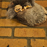 Photo n°9 de l'avis de Petra.s fait le 18/02/2022 à 09:31 sur le  Hotel am Stadtwald Stralsund à Stralsund