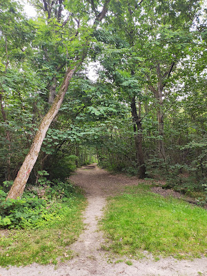Bois des Trous à Fleury-Mérogis