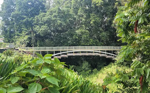 Wahiawā Botanical Garden image