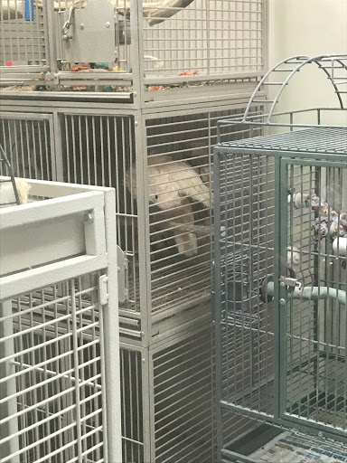 Pet Store «Parker Exotic Pets», reviews and photos, 17880 Cottonwood Dr, Parker, CO 80134, USA