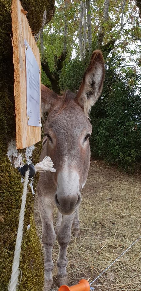 Photo n° 1 de l'avis de AC.� fait le 30/10/2018 à 16:54